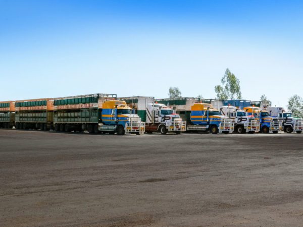 Road Train Sticker