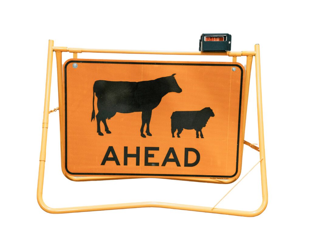 stock ahead and beacon