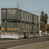 truck with round lights