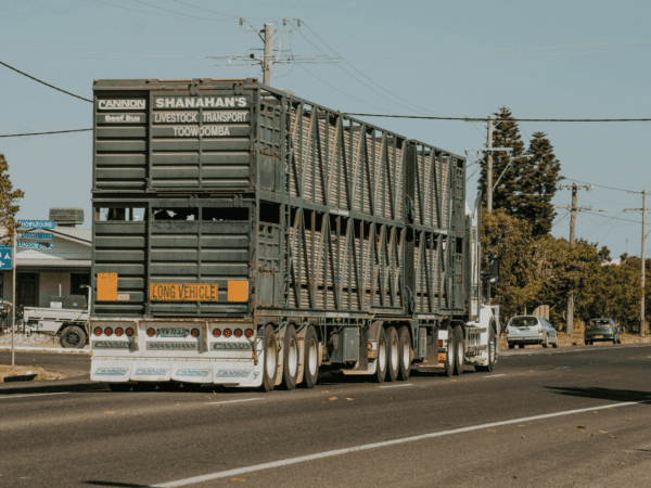 truck with round lights