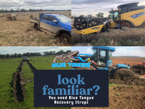 Heavy Duty Recovery Strops 30-100T